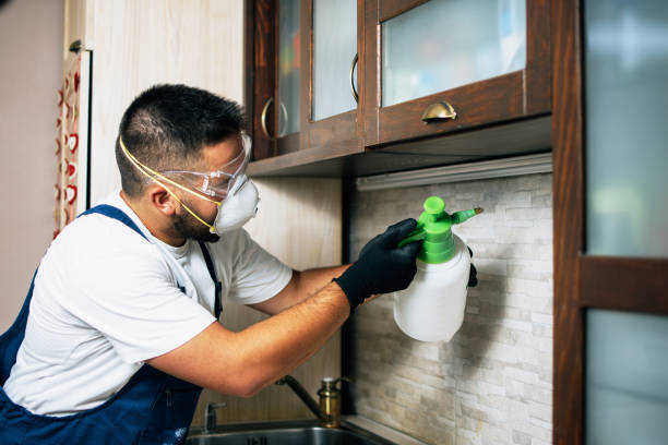 Best Affordable Pest Control Services  in Kountze, TX