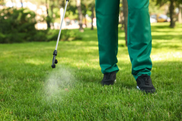 Best Wasp Removal Services  in Kountze, TX