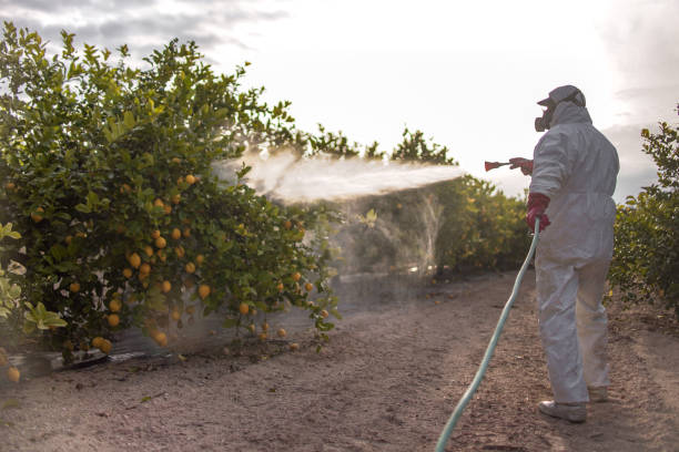 Best Residential Pest Control  in Kountze, TX