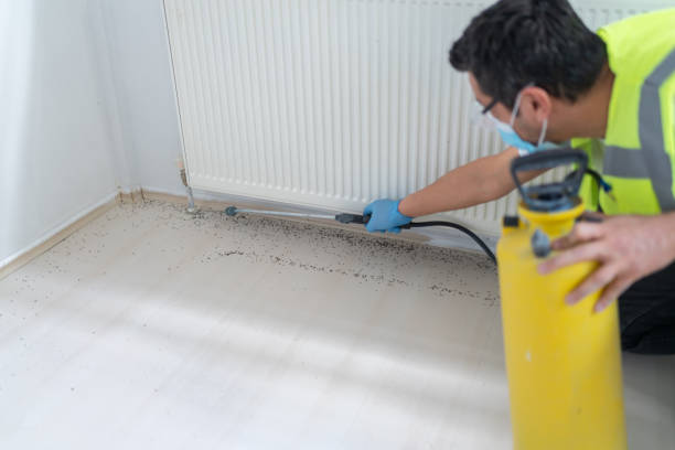 Pest Control for Restaurants in Kountze, TX